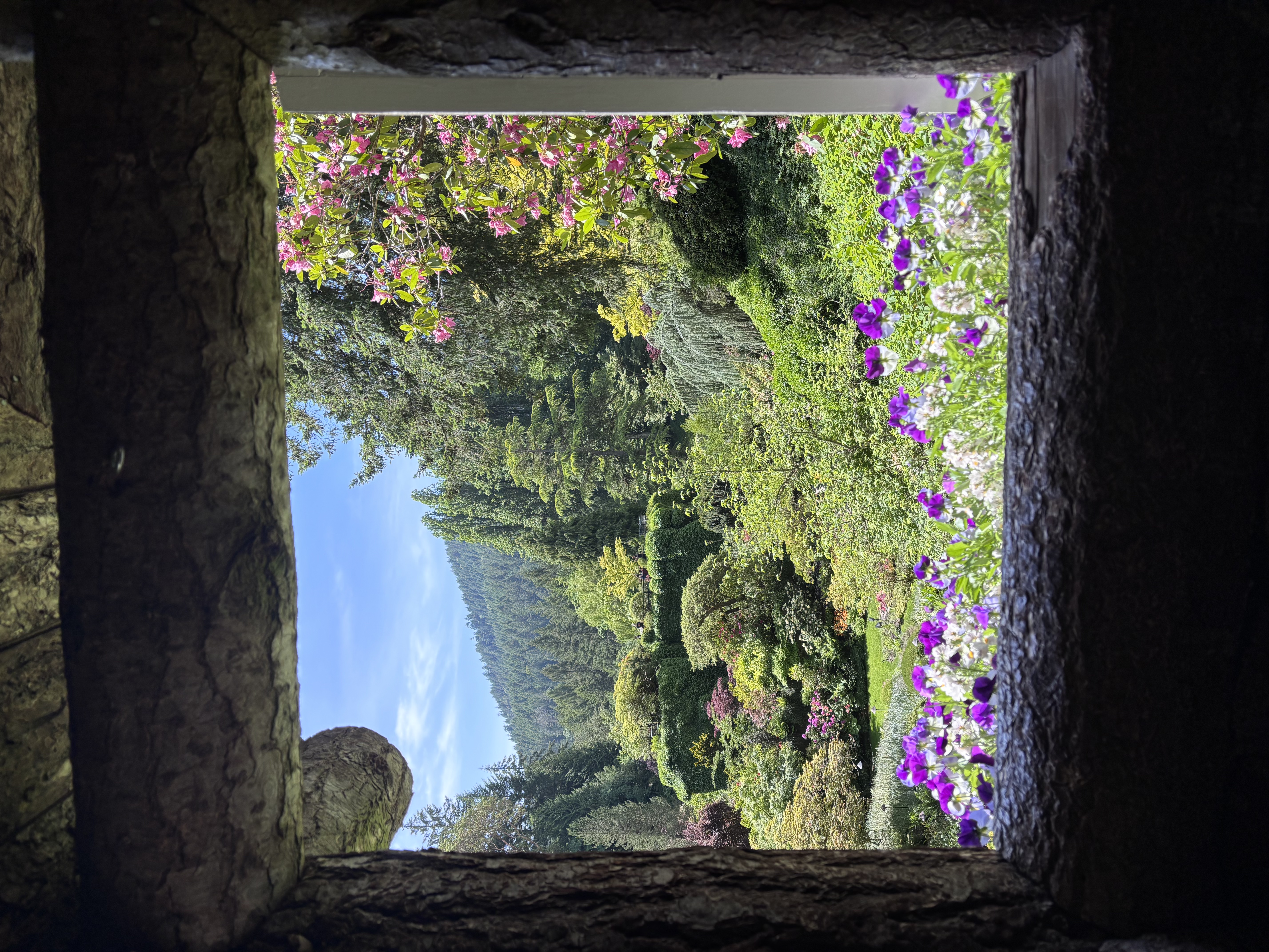 View through a garden window